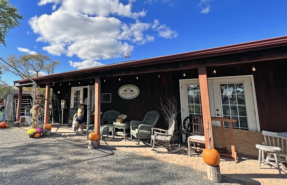 Alpaca Farm Store Belmar NJ