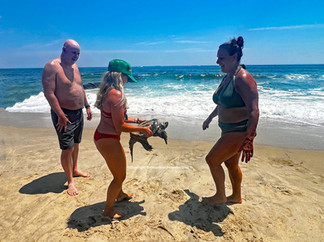 Belmar NJ Lifeguard Helps Save Sand-Trapped Snapping Turtle