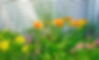 Gardens-Belmar-NJ-9044.webp