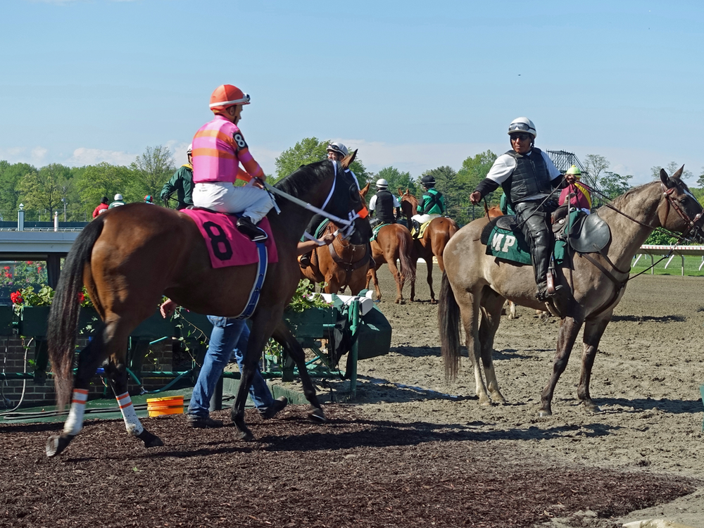 Jersey Shore Day Trips Monmouth Park Racetrack