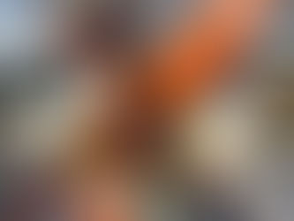 Fresh Catch With The Jersey Shore Lobster Brothers