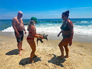 Snapping Turtle Rescue Belmar Beach NJ