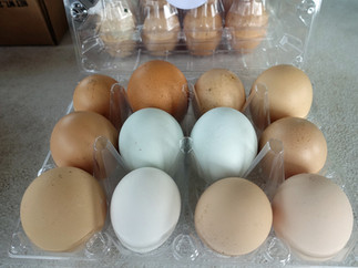 Lake Como NJ Farmers Market Vendors