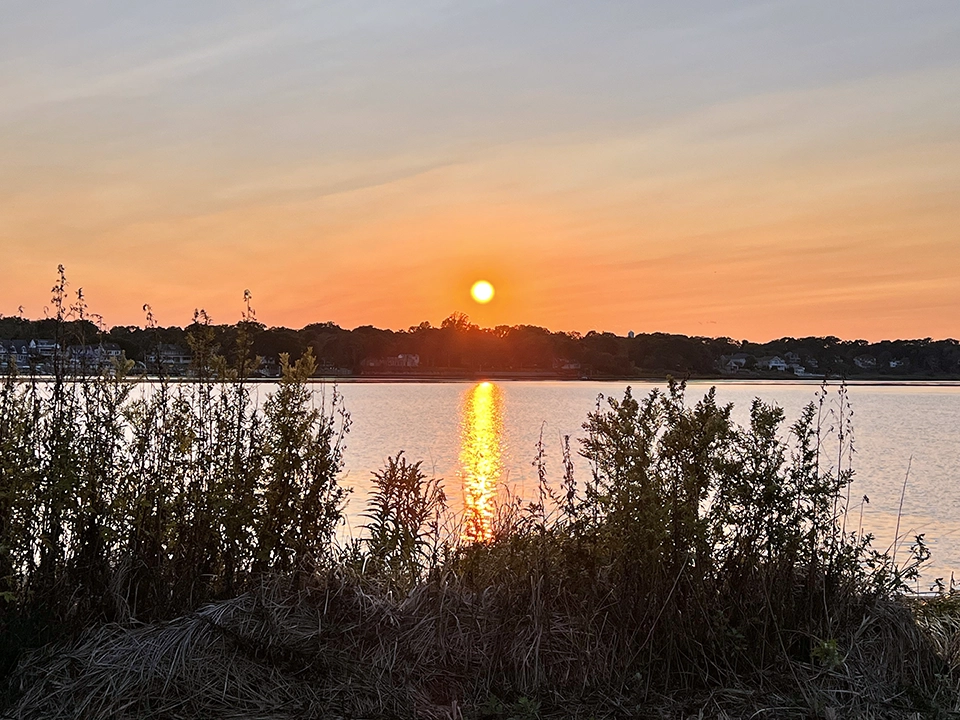 Sunset At Maclearie Park Belmar Marina