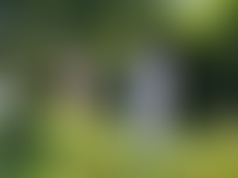 Ed Lippincott Belmar Beekeeper