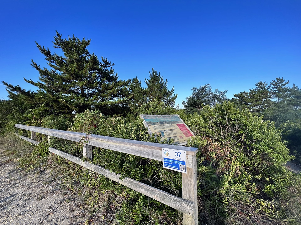 Belmar Treasure Trail Stop #37 - First Avenue Beach