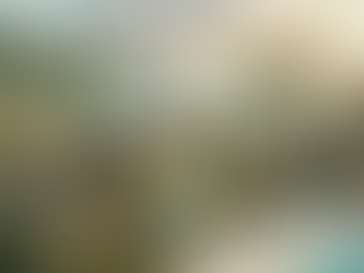 Maximizing Marriott Destination Points for Exceptional Vacations