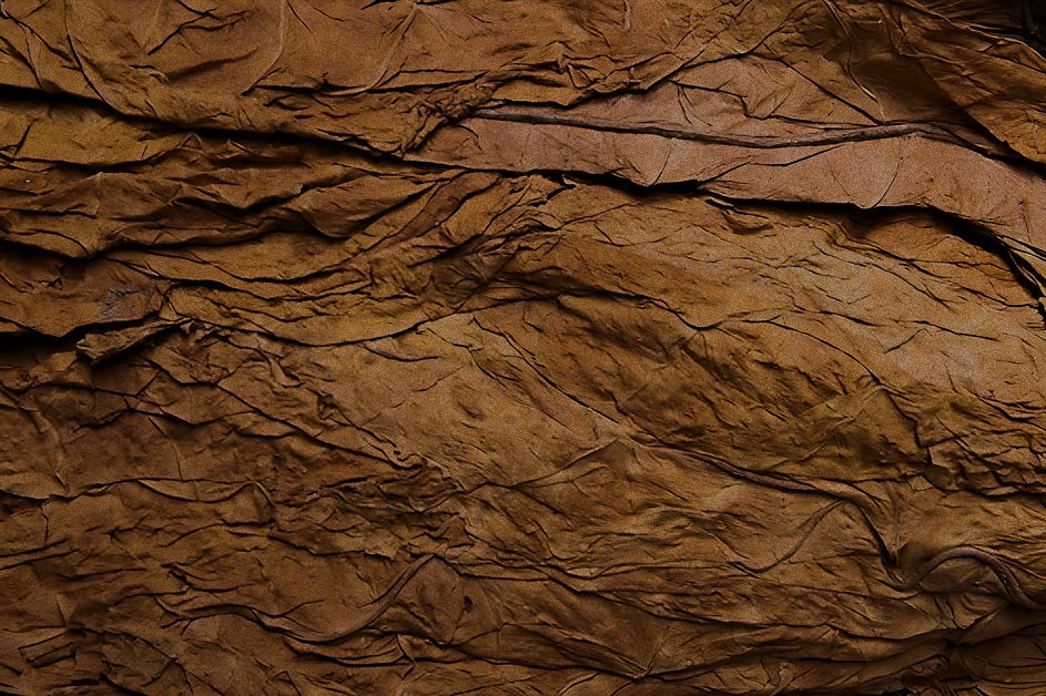 Final Background_edited_edited.jpg