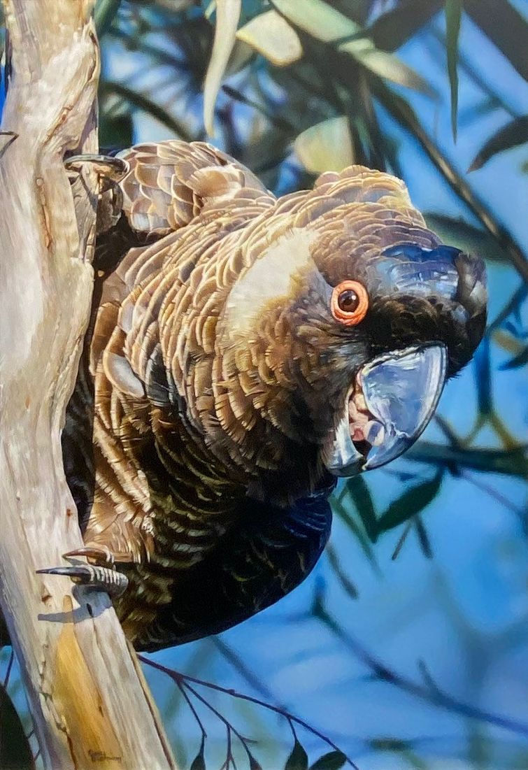 Cheeky-Boy-Original-Oil-Board-55cm-x-80cm-16500-1