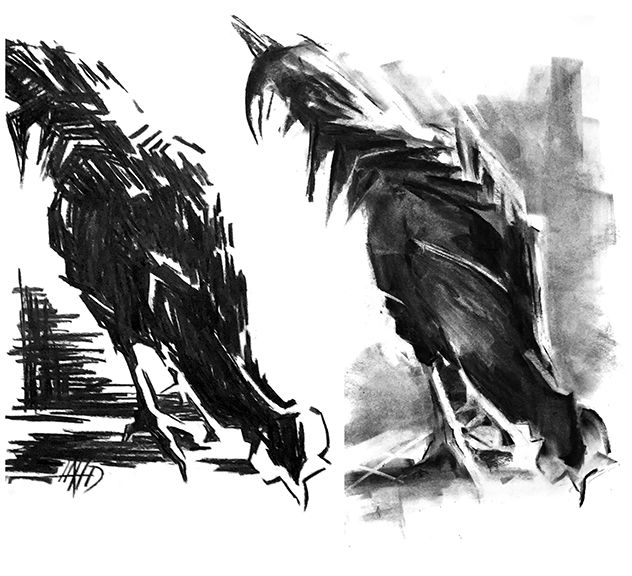 Beginner/Intermediate Drawing beginning Oct 13th 10a-12p | studio212arts