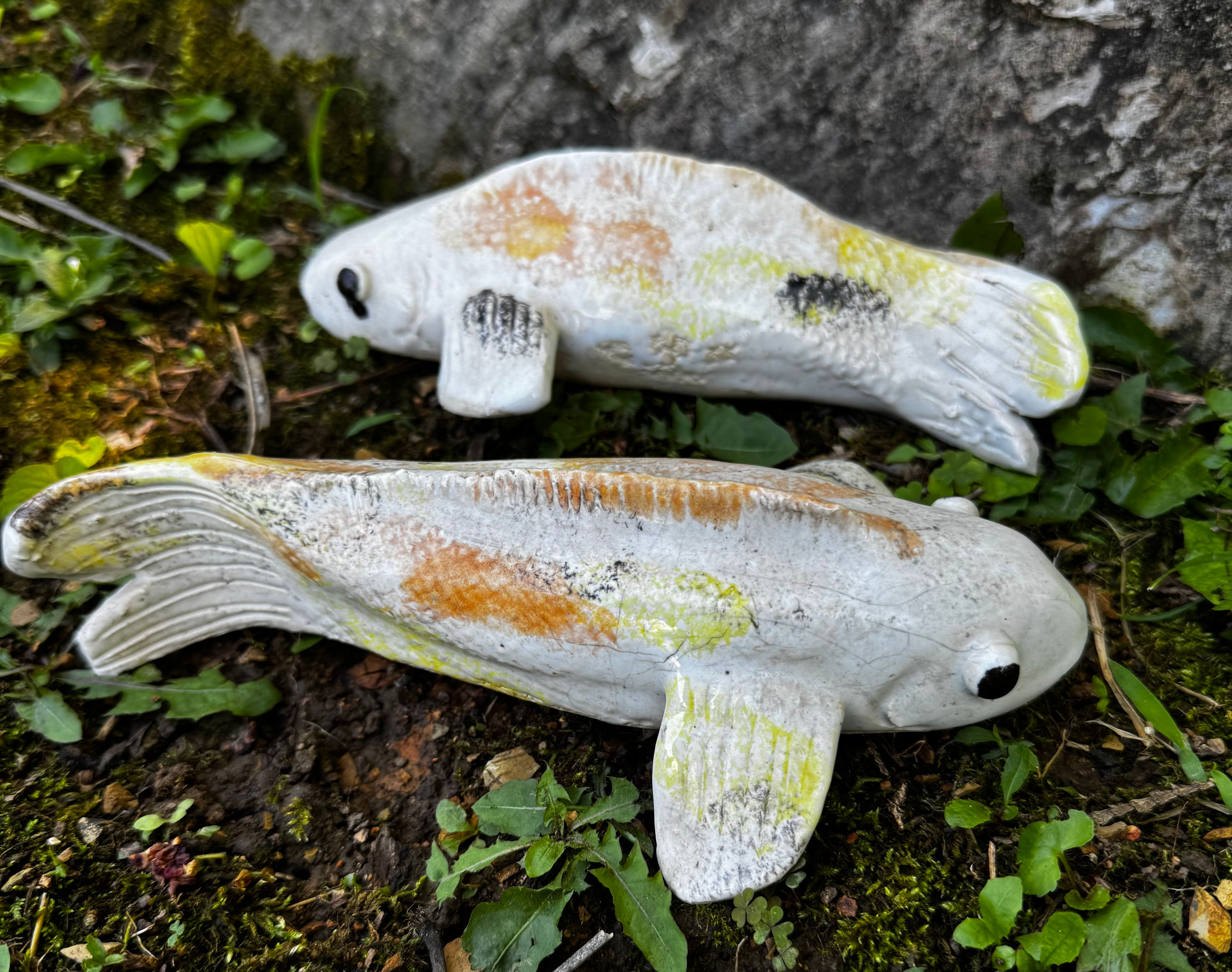 Koi Fish June 29th 2-4:30p