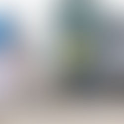 Hundeführer*in beobachtet Körpersprache beim Mantrailing für Fortgeschrittene, der Hund bellt und zeigt so an, dass er auf der Spur ist.