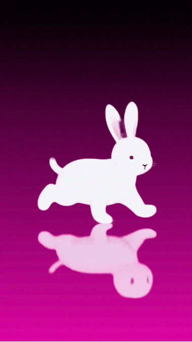My Bunny