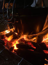 IMG_6822.jpg