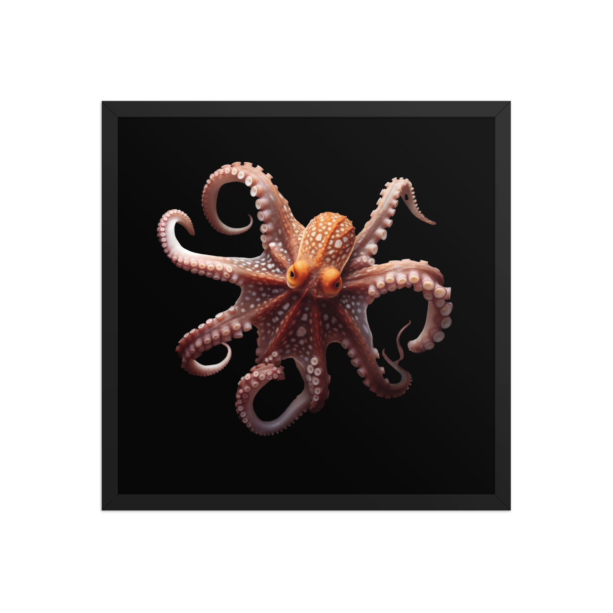 Octopus
