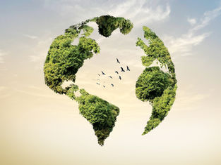 Sürdürülebilirlik Raporlamasında Yeni Dönem