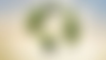 Sürdürülebilirlik Raporlamasında Yeni Dönem