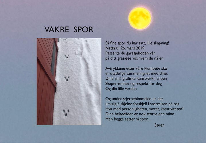 Vakre spor 1.jpg
