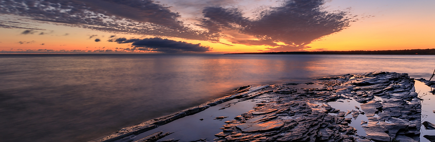 Union Bay #19.png