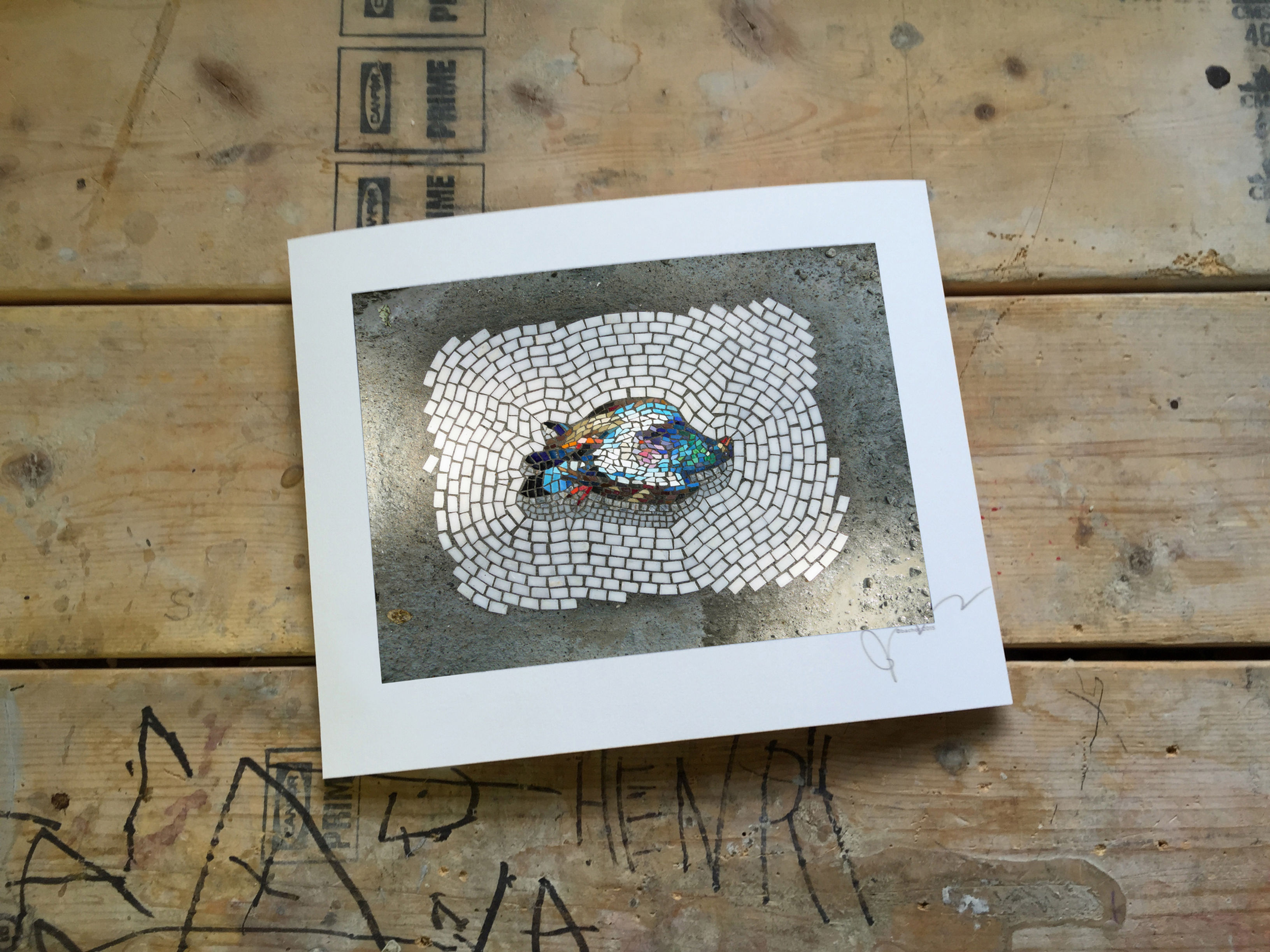 "Dead Pigeon" signed & numbered limited edition print