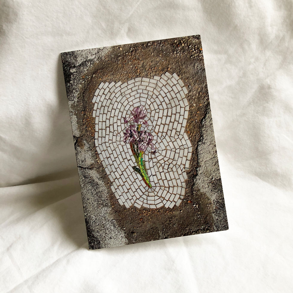 Thumbnail: "Flower Pot Hole" notecard set