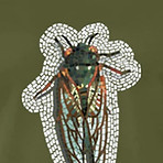 M olive green_edited.jpg