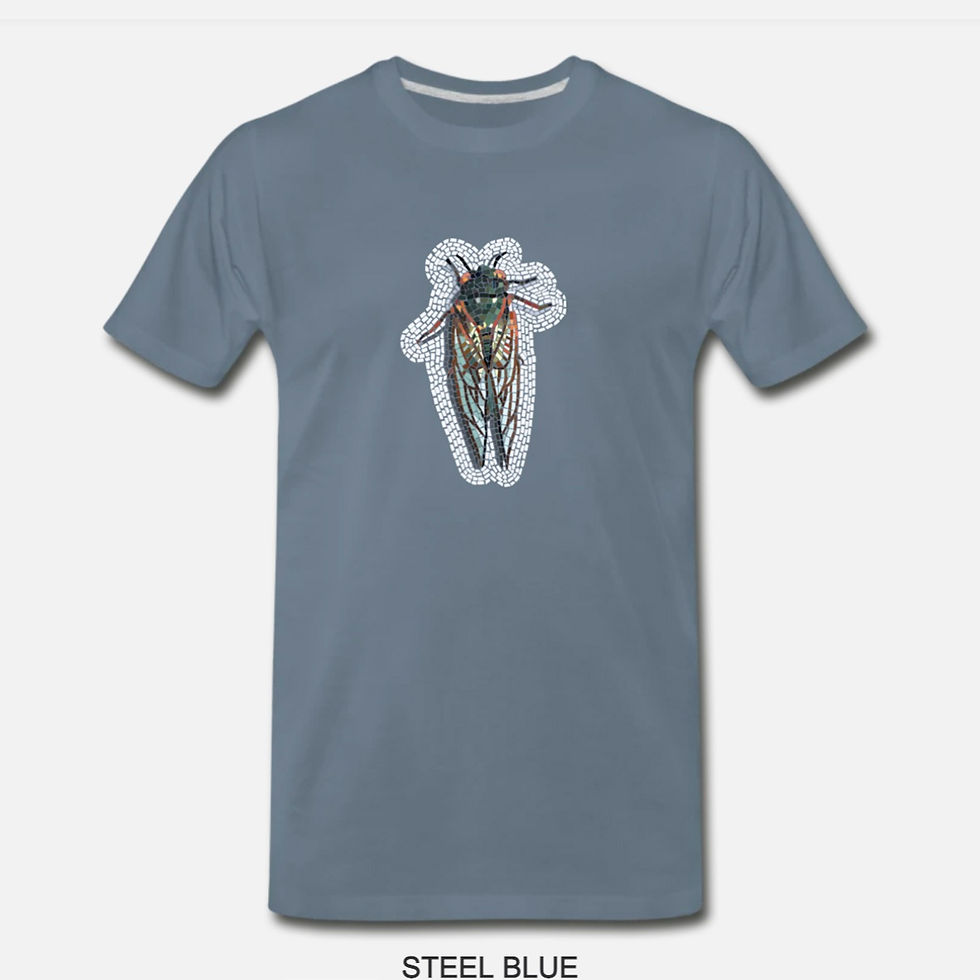 Thumbnail: Men's "Cicada Invasion" t-shirt