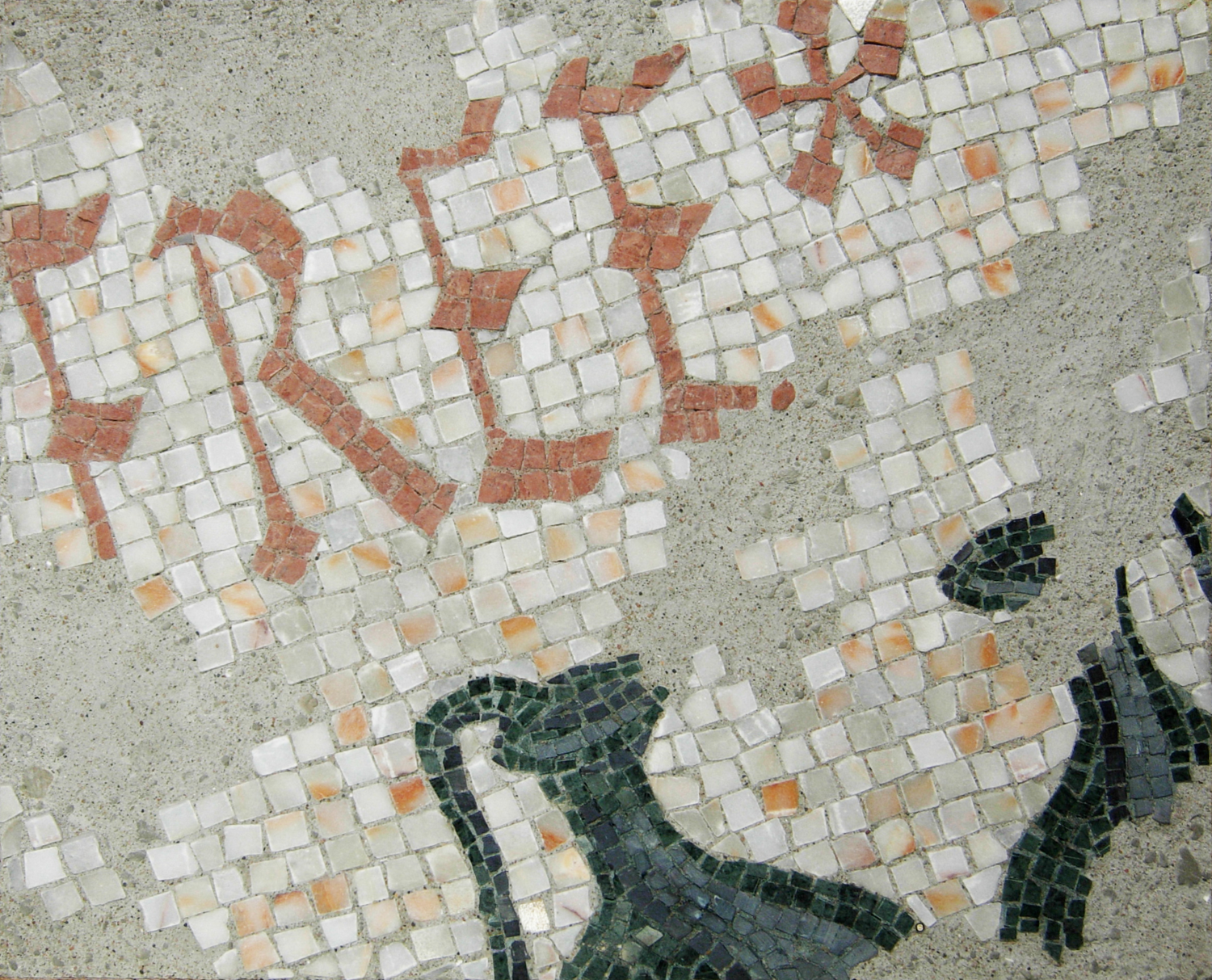 Evidence of the first use of the word FREE*