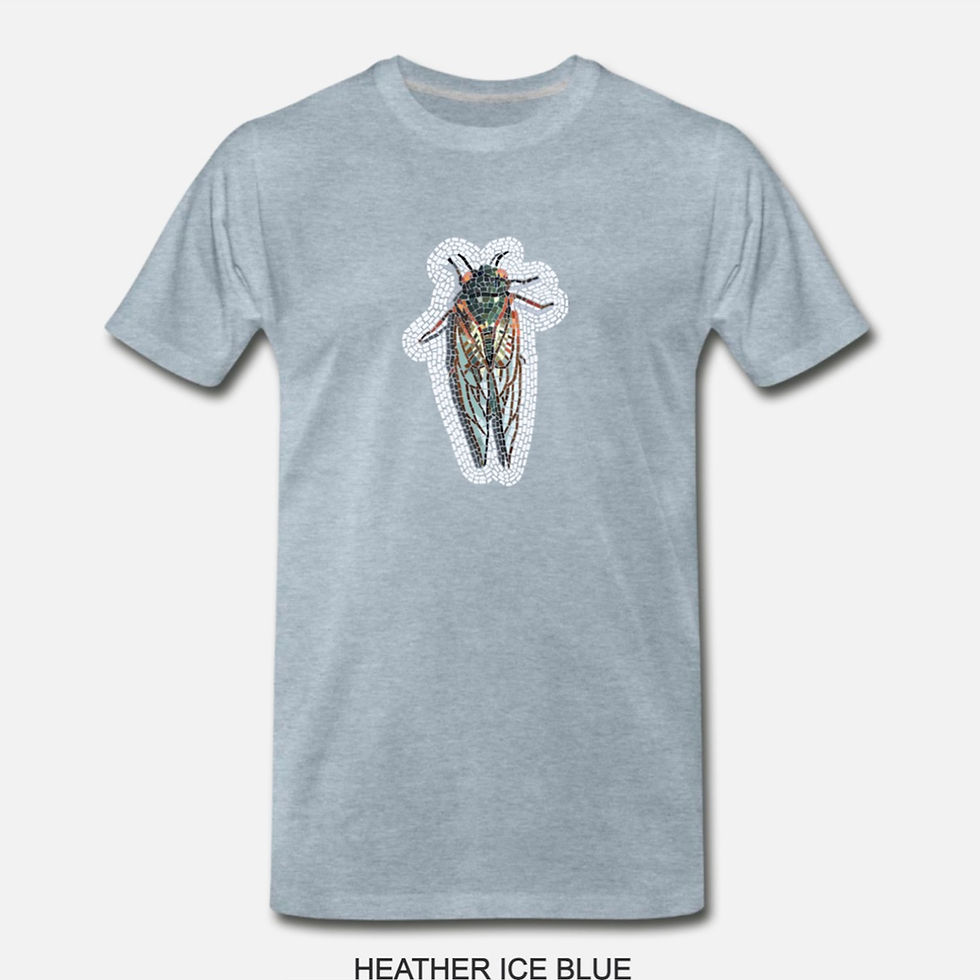 Thumbnail: Men's "Cicada Invasion" t-shirt