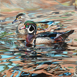 Kelly McNeil, Prism of the Wood Ducks, Oil 14X14