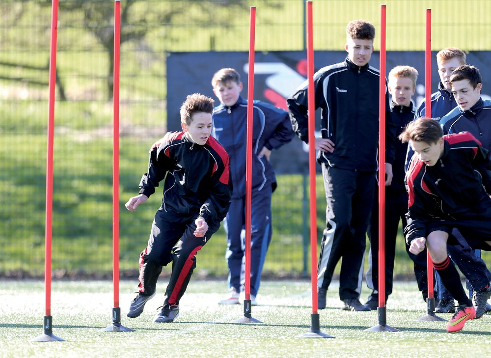 Precision Boundary Poles (Set of 12)