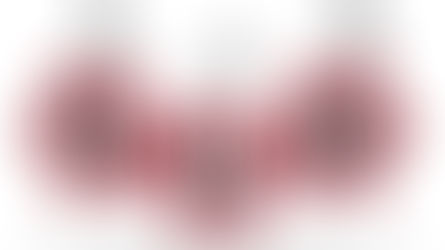 The Top Benefits of a Wyoming LLC