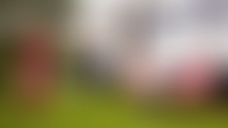 All About Montana LLCs and RV Ownership