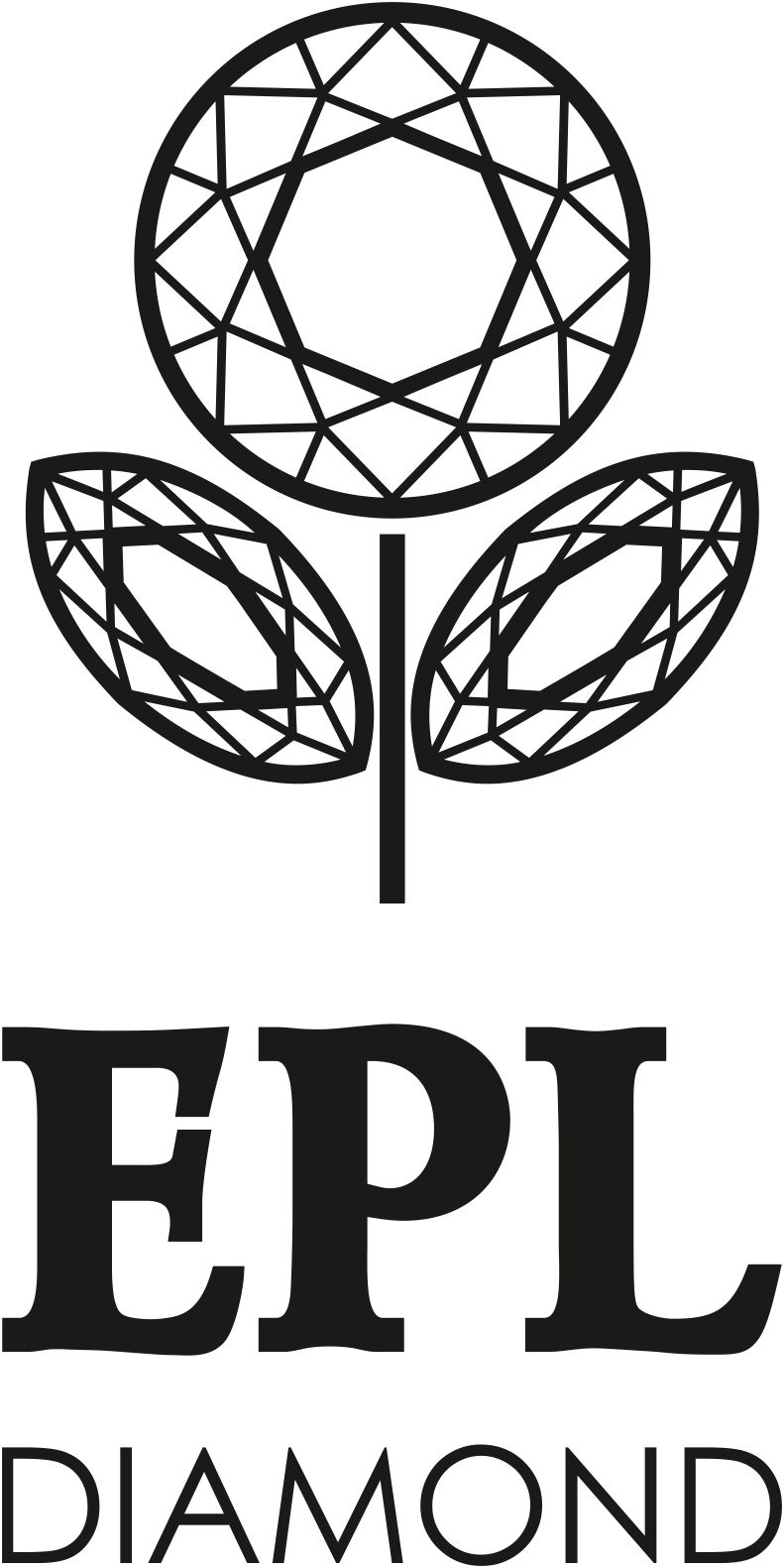 ЛОГО ФИНИШ ENG (13 версия) (2)_page-0001.jpg