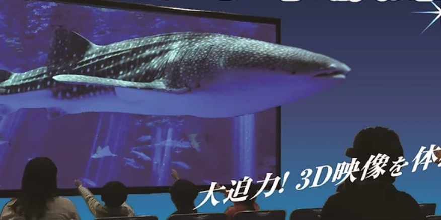 kagoshima.png