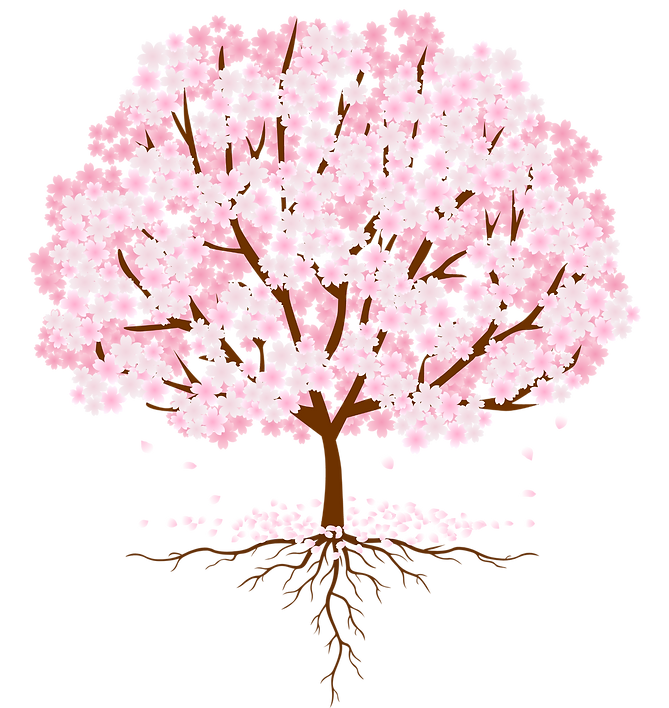 GT  (1).png