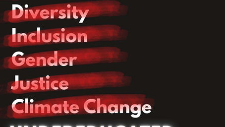 They Banned ‘Equity’ and ‘Diversity,’ But Left Out ‘Undereducated’