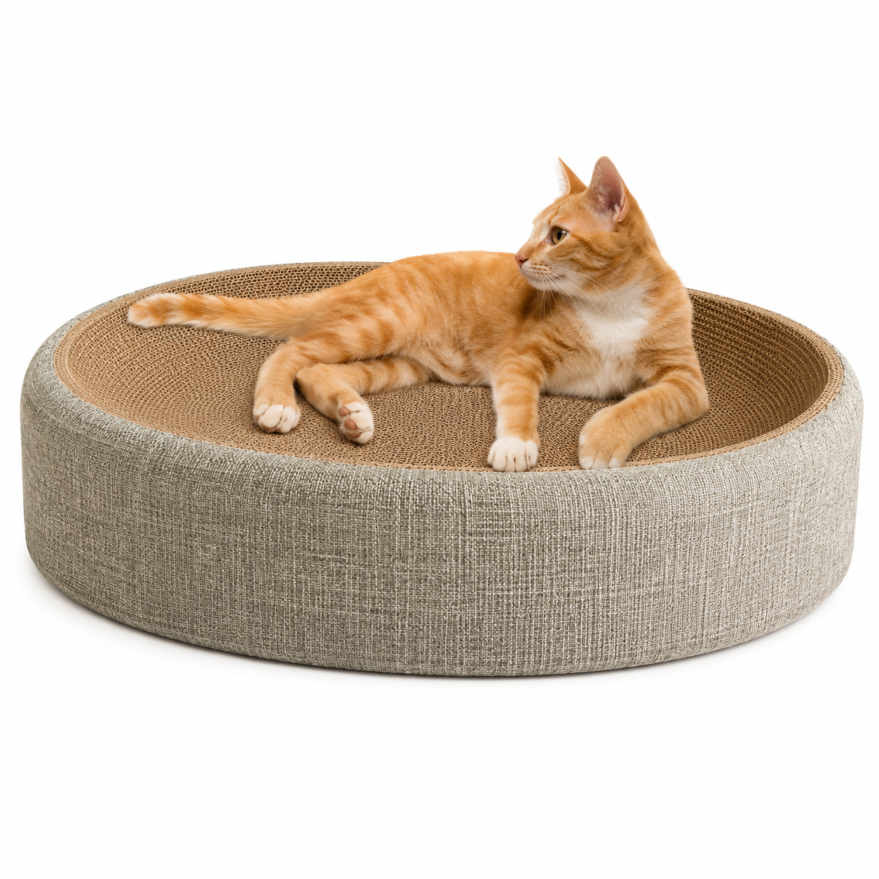 Arranhador 2 em 1 para Gatos – Formato Oval em Sisal | Brinquedo