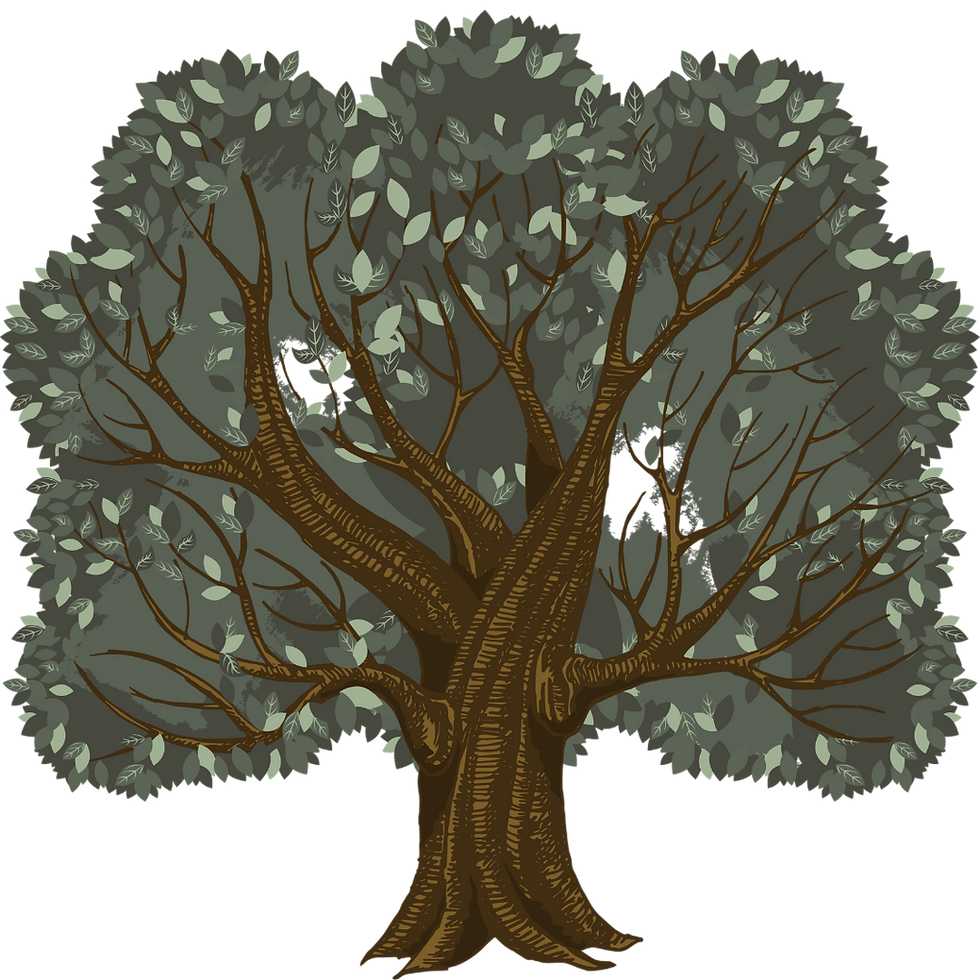 World-Tree.png