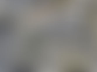 Damaged Roof Tiles - No job's too small! 