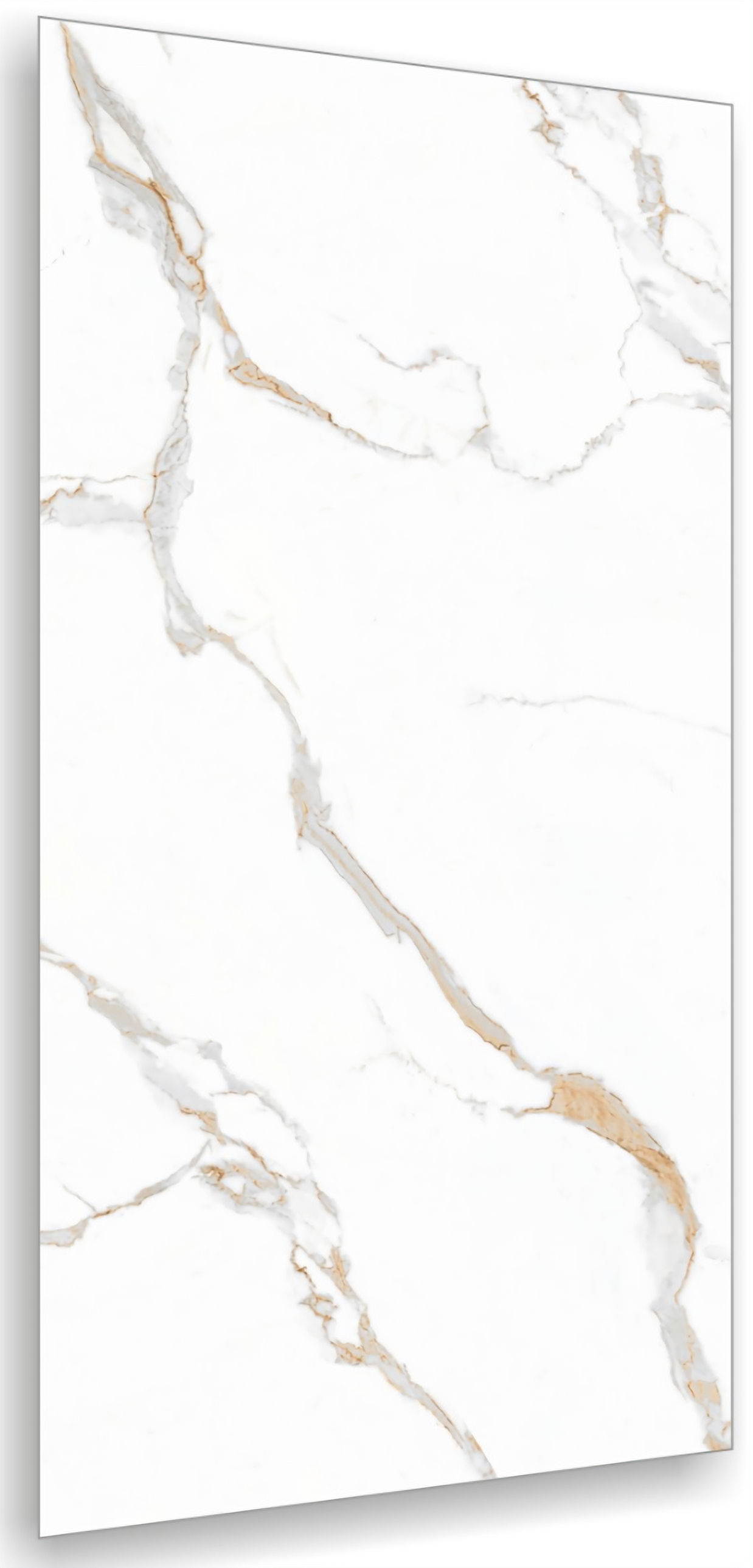 Regal White High Gloss Wall & Floor 60x120cm Porcelain Tile