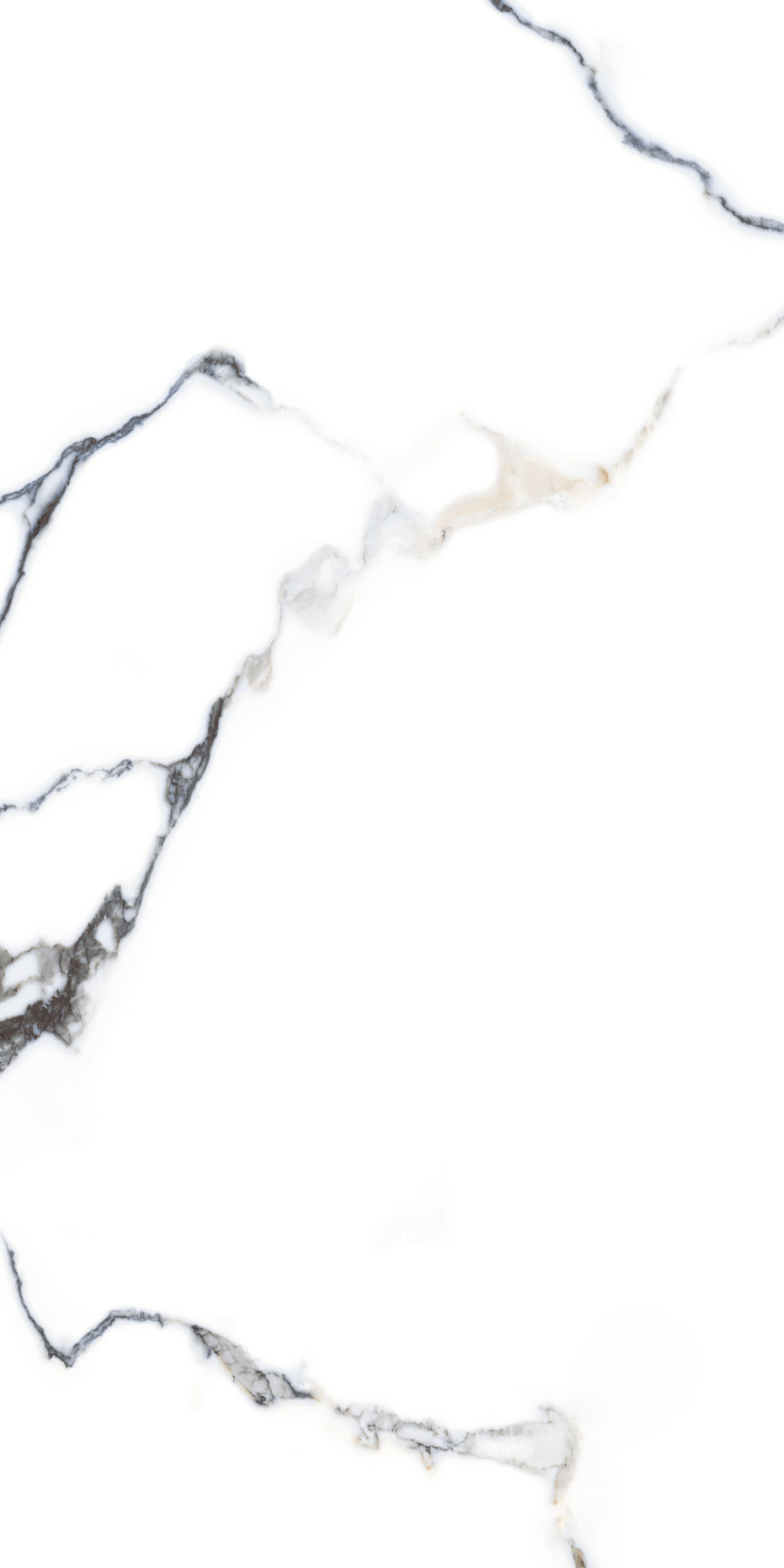 Brisha Satuario Wall & Floor Porcelain Tile 60x120cm High Gloss