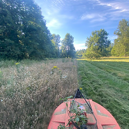 Northwest Grounds LLC Brush Hogging