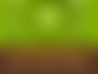 Todo tiene solución