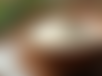 Choosing Collagen Supplements: How to Select the Right Collagen Supplement for You