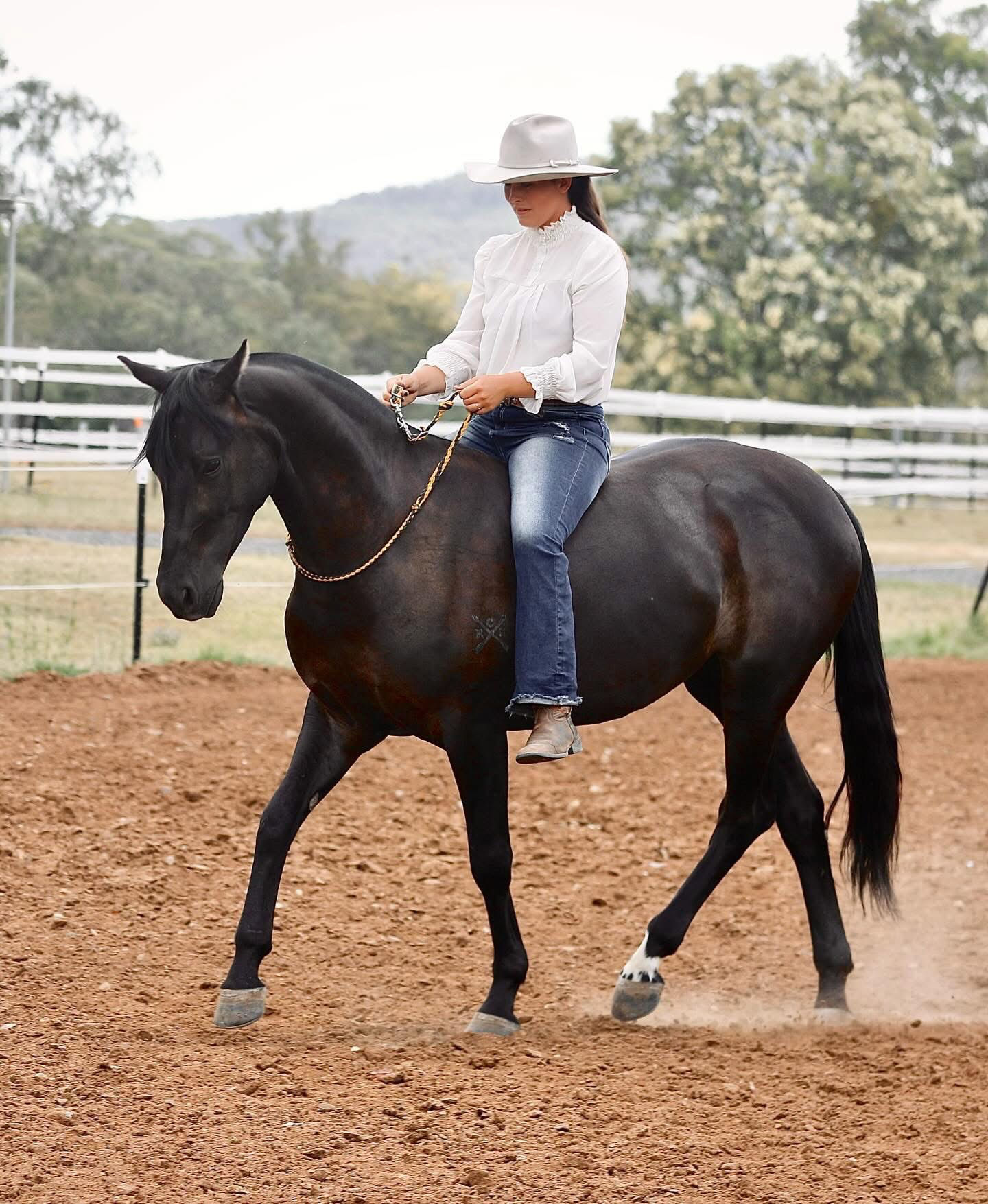 2 Day Horsemanship Clinic Participant: Hunter Valley- 1/2 August