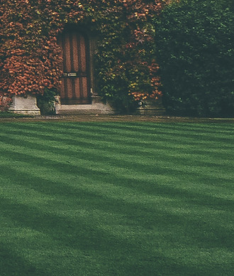 Lawn_edited.jpg