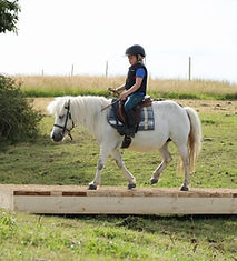 domaine-nozkan-centre-équestre-saint-hilaire-des-landes