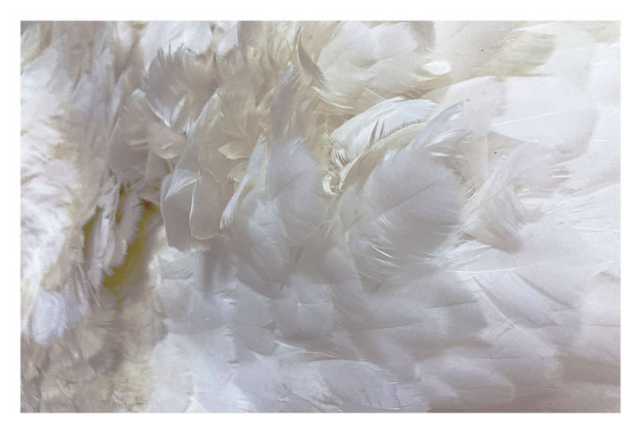 소화계책 내지 (제본용)_굵기조정_페이지_003.jpg