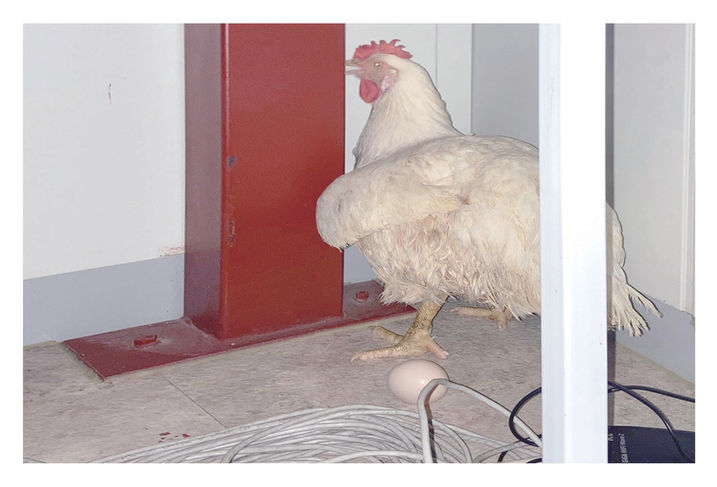 소화계책 내지 (제본용)_굵기조정_페이지_055.jpg